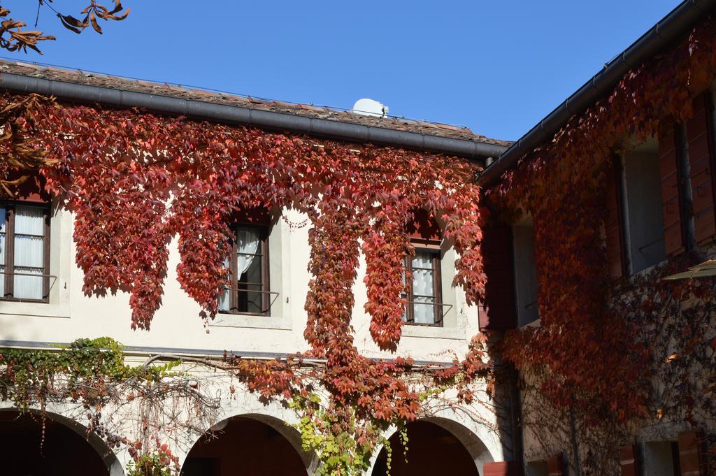 I Giardini Segreti Di Villa Marcello Marinelli Cison di Valmarino Exteriör bild