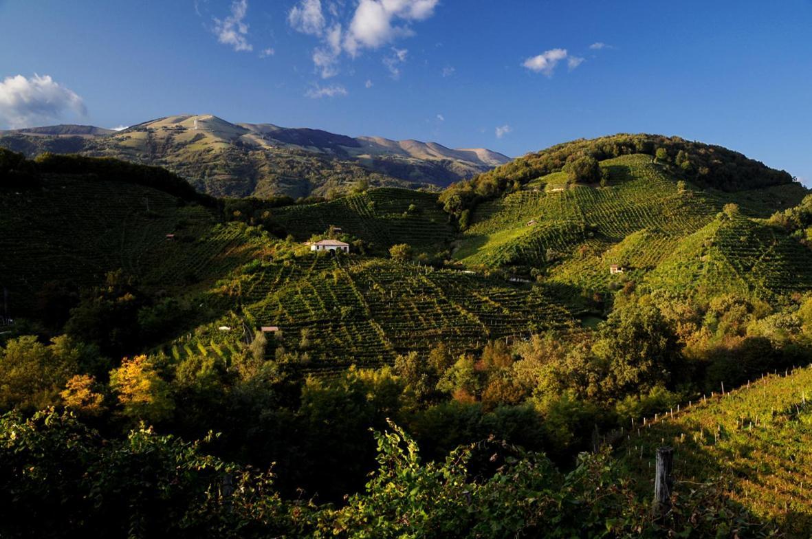 I Giardini Segreti Di Villa Marcello Marinelli Cison di Valmarino Exteriör bild